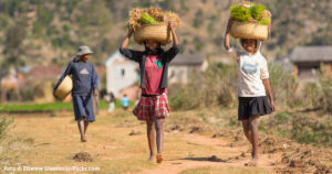 Scopri di più sull'articolo Madagascar: temperature record non possibili senza l’impatto delle attività umane